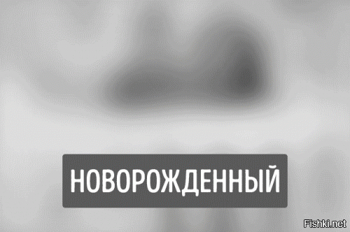 Гифки дня