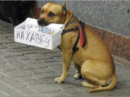 Молодец!!!
не то что некоторые..))