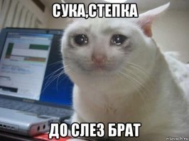 Тайный поклонник ежедневно приносил женщине цветы, но был пойман с поличным