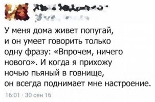 Смешные картинки с надписями