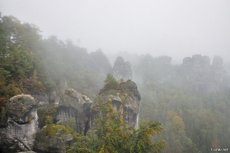Осень 2016-го:)