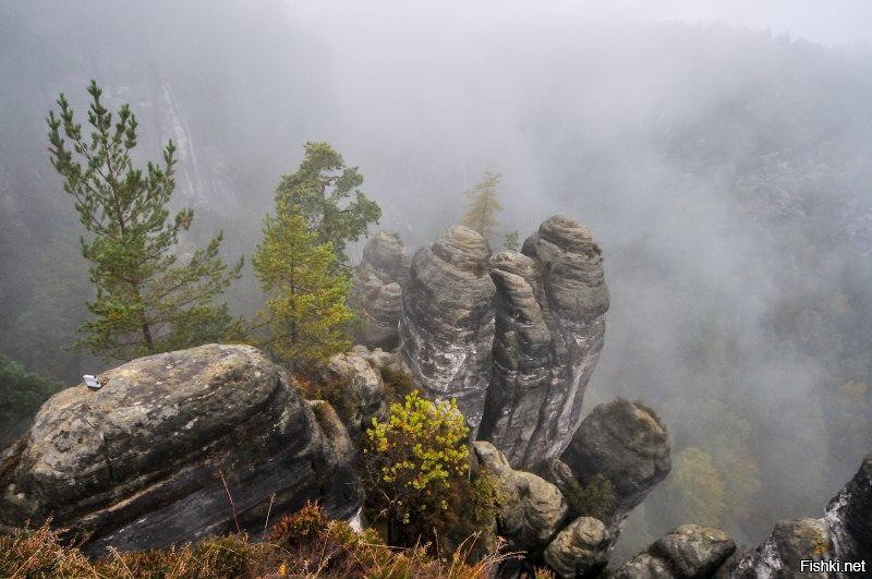 Осень 2016-го:)