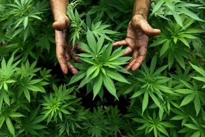 не тот гульбарий! Нужно было в валюте держать!