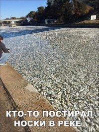 вот еще одно невероятное совпадение