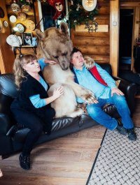 Сказочные портреты девушек с дикими животными в объективе Ольги Баранцевой