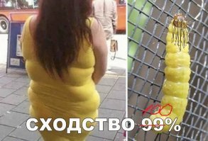 Смешные картинки с надписями