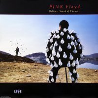 Это двойной концертный альбом 1987г "Delicate Sound of Thunder"

Вполне себе так продавался, и весьма солидным тиражом. Я помню, как в очереди несколько часов в Гостинке отстоял, мне хватило. Кстати, этот альбом в космосе побывал.