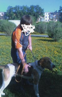 Как охотник с 45 летним стажем, уточню, что, в дикой природе, только одна атака хищников из 10 бывает эффективна :) Это не касается волков, те могут вырезать стадо оленей за пару часов :) Волки, во время войны, в колхозах убивали тысячи поголовья баранов и овец, поэтому в охот обществах, на государственном уровне, платили деньги за их отстрел :) Моему отцу было 13 лет в 1942 году, он один ходил на волков, что бы каких то денег домой принести.  
... и еще у него была русская гончая , которую ему оставил сосед ушедший на фронт :) 
Фото нашей русской пегой гончей, морду замазал не аккуратно, но просто навеяло :)