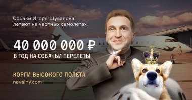 Ковер для Медведева, диван для Миллера. Во сколько обходятся полеты випов