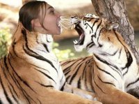 Тоже, в общем-то, "минимум фотошопа". :)