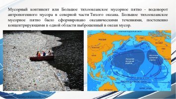 Душераздирающие снимки мертвых морских птиц с желудками, набитыми океанским пластиком