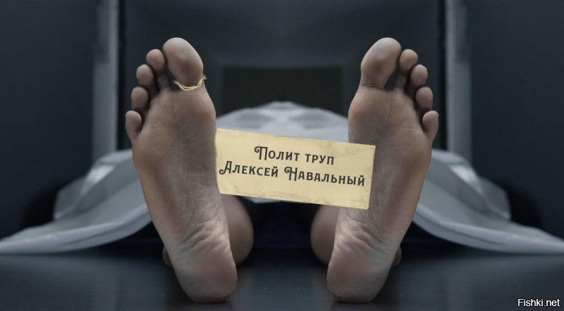 Суд над Навальным: первые итоги