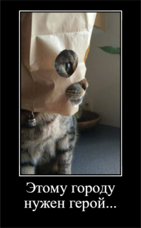 Субботний котопост