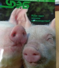Подготовка к фотосессии для справочника Финансово-экономический бюллетень: