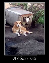 Хата, как я понимаю, досталась бабе, как всегда ?