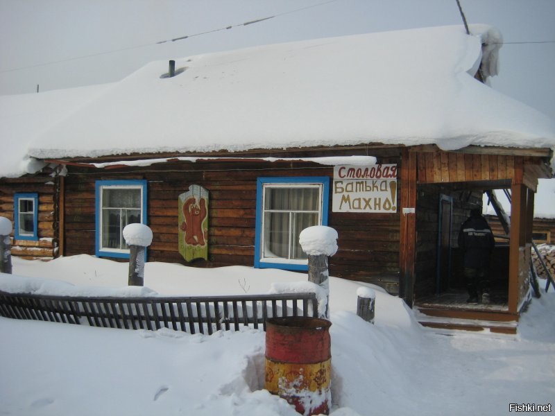 городской житель ?