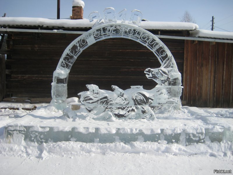 городской житель ?