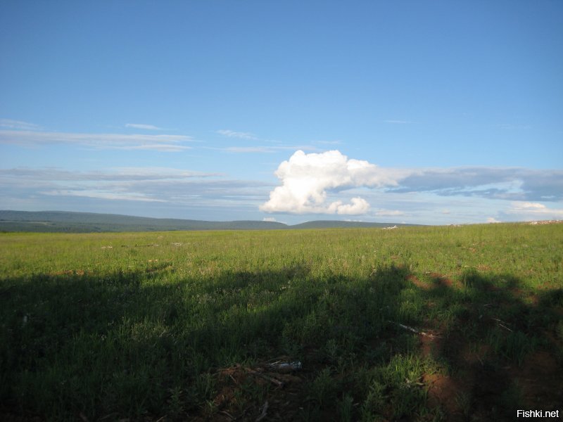 городской житель ?