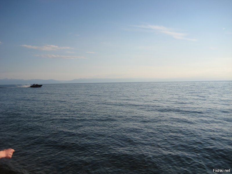 городской житель ?