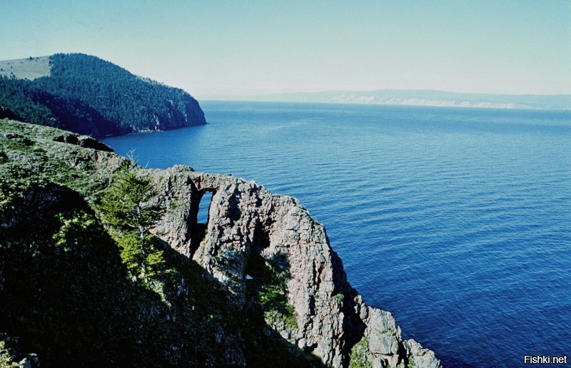 городской житель ?