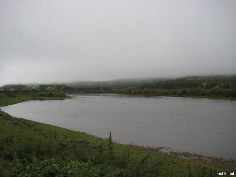 городской житель ?