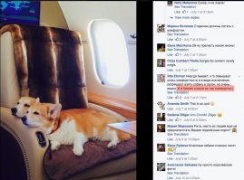 Дочь олигарха Чигиринского не ожидала увидеть в самолете других людей