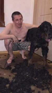 Не, ну на хрен...
Я этого валенка два раза в год стригу. На свитер с одного раза не хватит, но на пару носок - запросто.