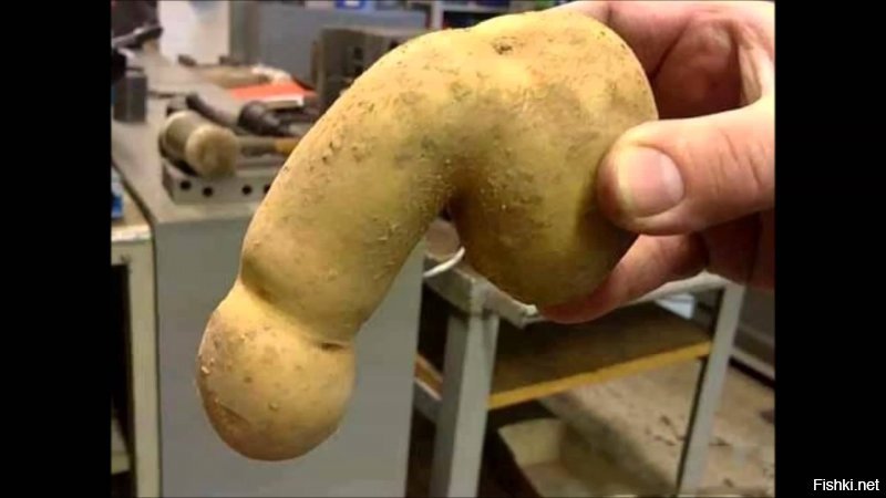 Всего лишь картошка