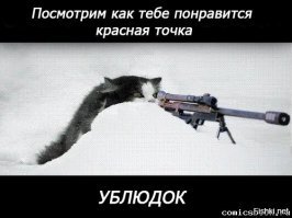 20 диких вещей, которые ты тайно делаешь со своим котиком