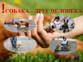 Любовный переполох