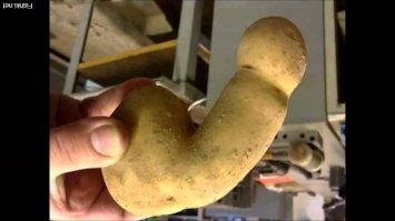 Такое фото должно быть !