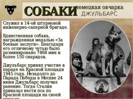 Матросы, которые не бросят