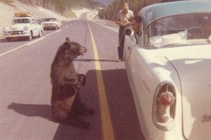 Ага,блть,"наше" прошлое;американский мишка в америке,