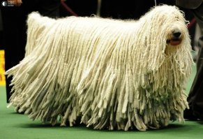 какой то хороший мальчик решил искупаться))