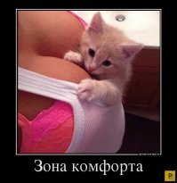 Свежая подборка демотиваторов, которые поднимут вам настроение