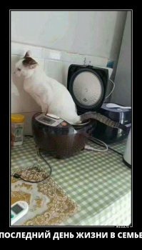 Свежая подборка демотиваторов, которые поднимут вам настроение