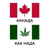 Женщину уволили из-за хвастовства девятилетней дочери