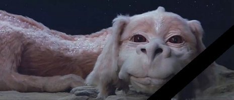 На филиппинский пляж океан выбросил загадочное волосатое существо