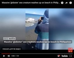 Ну, почему опять выложили это дурацкое вертикальное видео!
Хотя есть нормальное, горизонтальное вот у этого чувака.