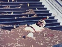 Суки, когда же они нажрутся то???