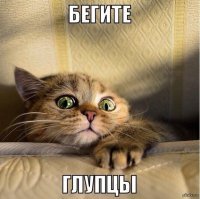 Жить по человечески и по совести в нашей стране можно только в одном случае