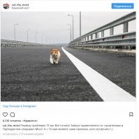 По традиции.. без скачек.. Кот Президенту доложит,тогда Президент и примет.. Хотя по вою  с сопредельной стороны и так понятно- всё отлично.