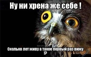 Филе рыбы начало скакать и биться в духовке во время приготовления