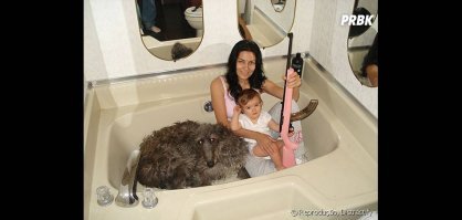 Фотоподборка за 15.05.2018