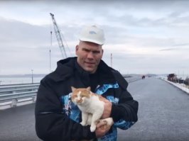 "Мостик" с охраной! :)