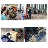 08 СЕНТЯБРЯ 2017. При пожаре в Эрмитаже пострадали музейные коты...
Его очаг находился в подвале здания в подсобном помещении, недалеко от места, где содержатся эрмитажные коты. На официальной странице музея в Facebook отмечается, что не всех животных удалось спасти. По сообщению  Пятого канала , при пожаре погибли как минимум три эрмитажные кошки. В пресс-службе Эрмитажа TANR уточнили, что произведения искусства и музейные ценности не пострадали. Причины возгорания пока выясняются. Музей продолжает работать в штатном режиме. (