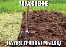 Приезжай к нам на дачу! Будет весело!