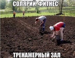 Приезжай к нам на дачу! Будет весело!