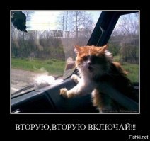 Целенаправленное попадание в слепую зону грузовика