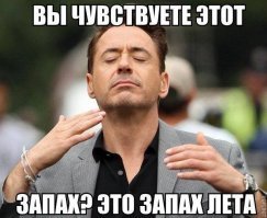 Как наша туристка в Египте пьяных немцев утихомирила